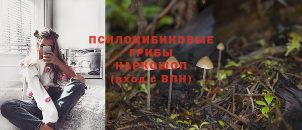 хмурый Баксан
