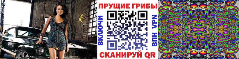 Псилоцибиновые грибы GOLDEN TEACHER Улан-Удэ